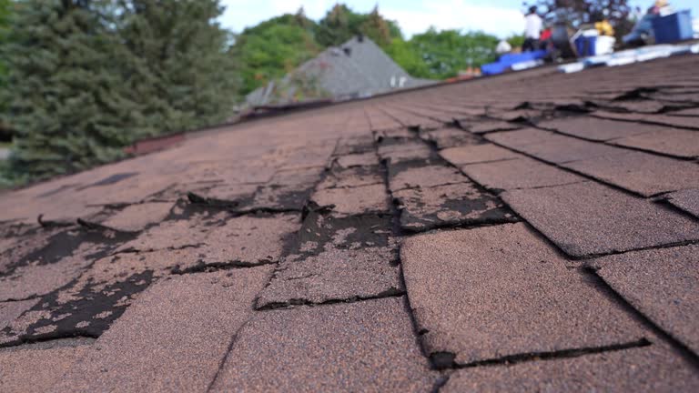 Best Roof Leak Repair  in Oran, MO