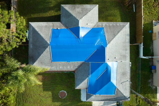 Best Solar Panel Roofing Installation  in Oran, MO