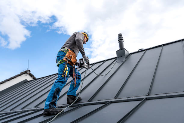 Best Solar Panel Roofing Installation  in Oran, MO